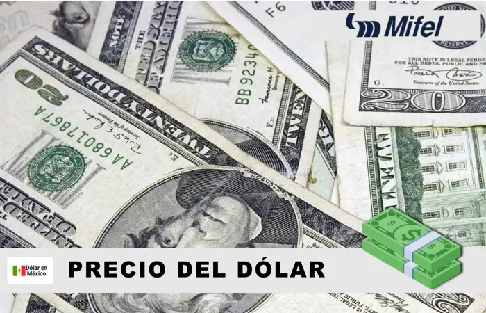 Precio del dólar en Mifel